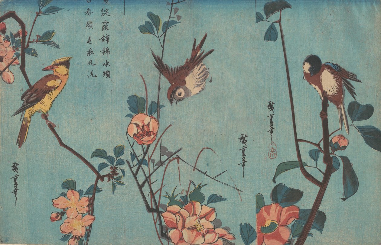 Cinciallegra e camelie a destra, passero e rose selvatiche al centro, oriolo dal naso nero..., 1833 ca. da Ando Hiroshige