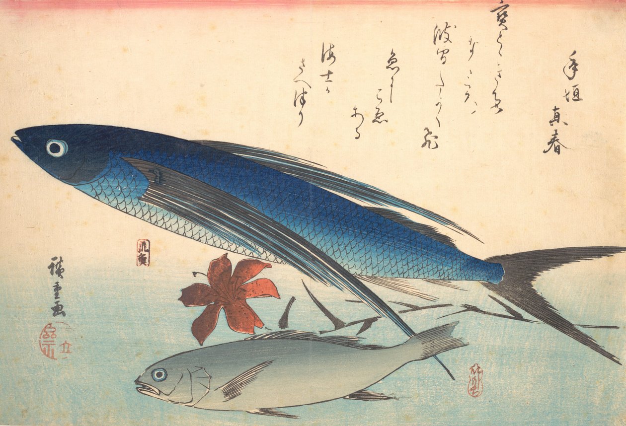 Tobiuo e pesce Ishimochi, dalla serie Uozukushi Ogni varietà di pesce da Ando Hiroshige