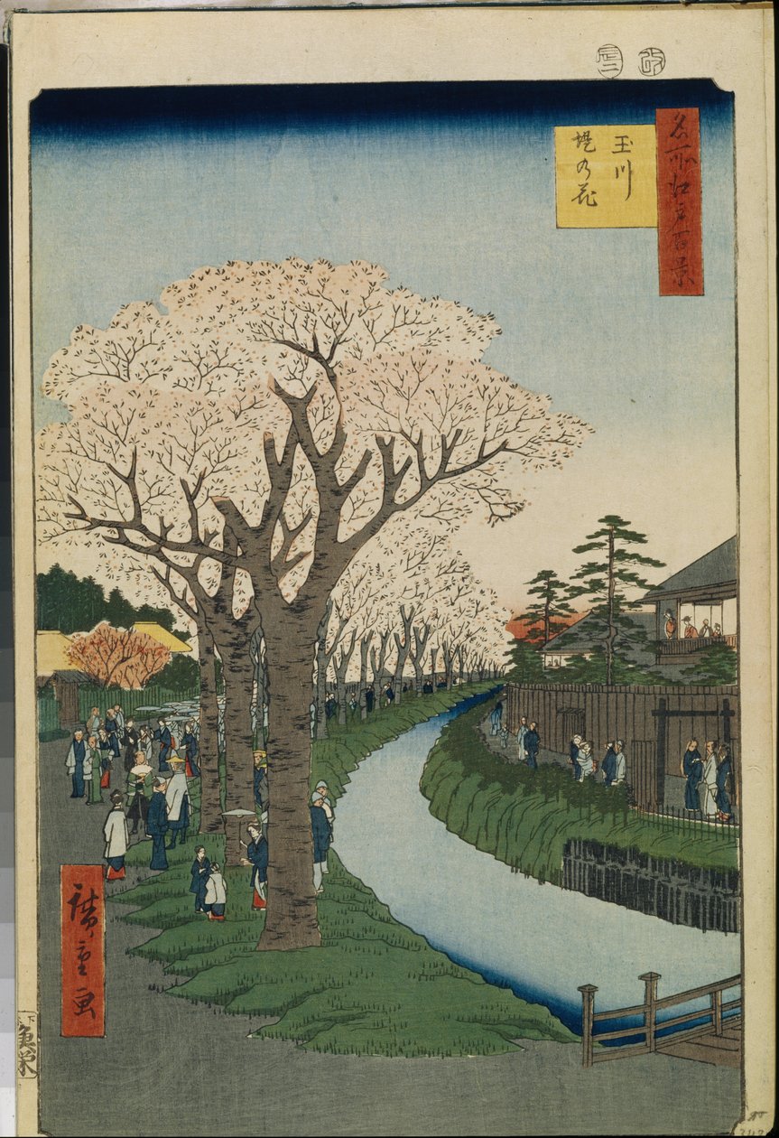 Cento vedute celebri di Edo: Fiori di ciliegio sulle rive del fiume Tama da Ando or Utagawa Hiroshige