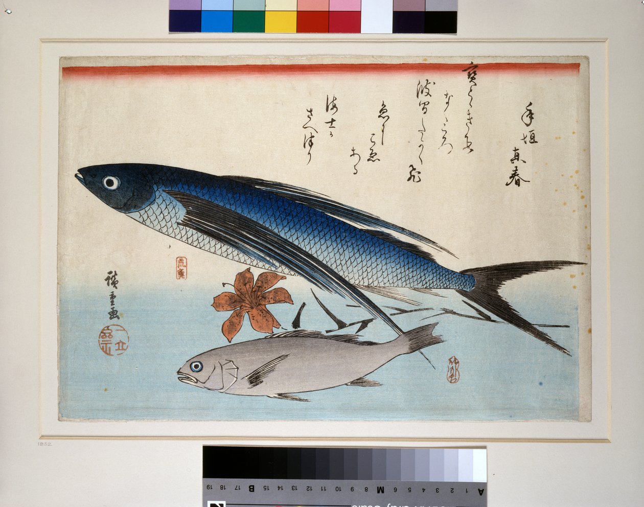 Pesci volanti, pesci ishimochi e gigli da Ando or Utagawa Hiroshige
