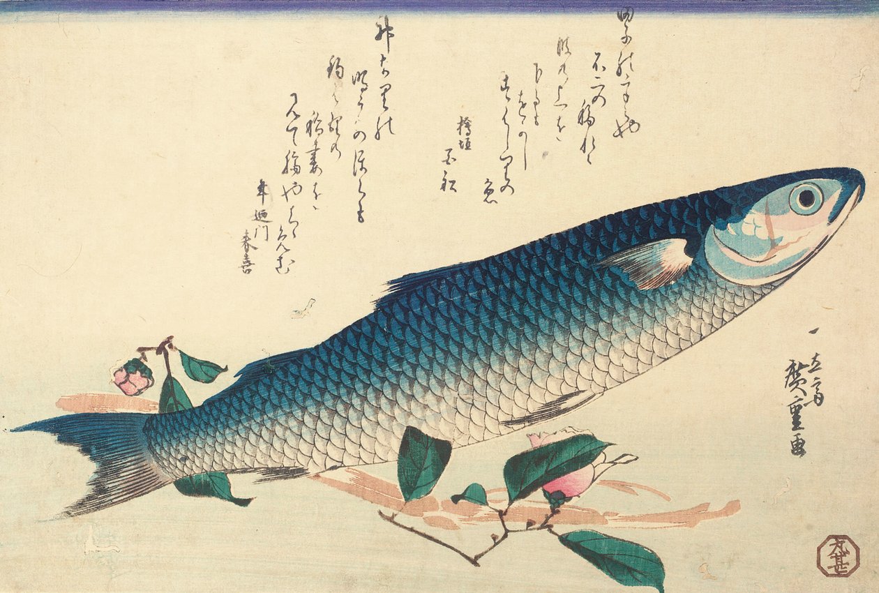 Cefalo, camelia e udo da Ando or Utagawa Hiroshige