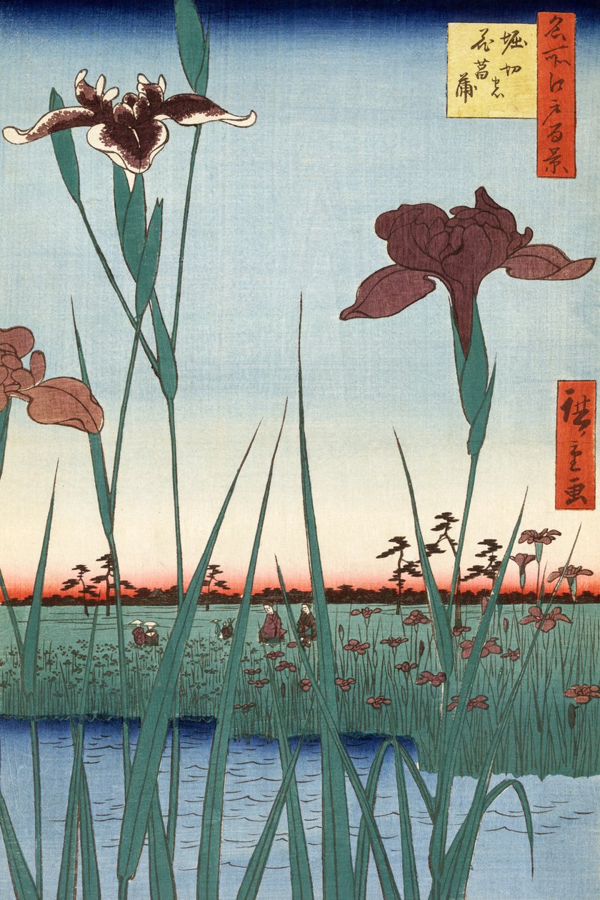 Giardino degli iris di Horikiri di Utagawa Hiroshige da Ando or Utagawa Hiroshige