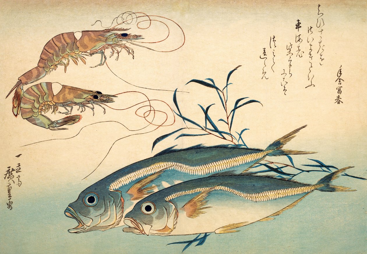 Sgombro giapponese e gambero giapponese da Ando or Utagawa Hiroshige