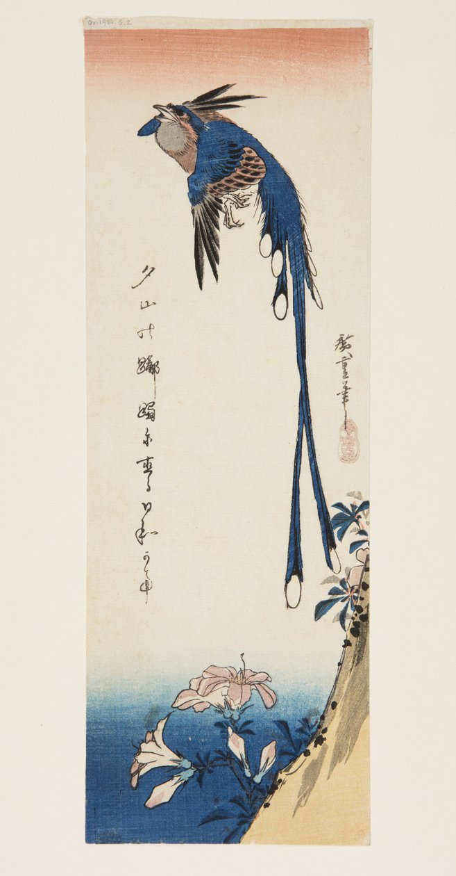 Gazza e azalea da Ando or Utagawa Hiroshige
