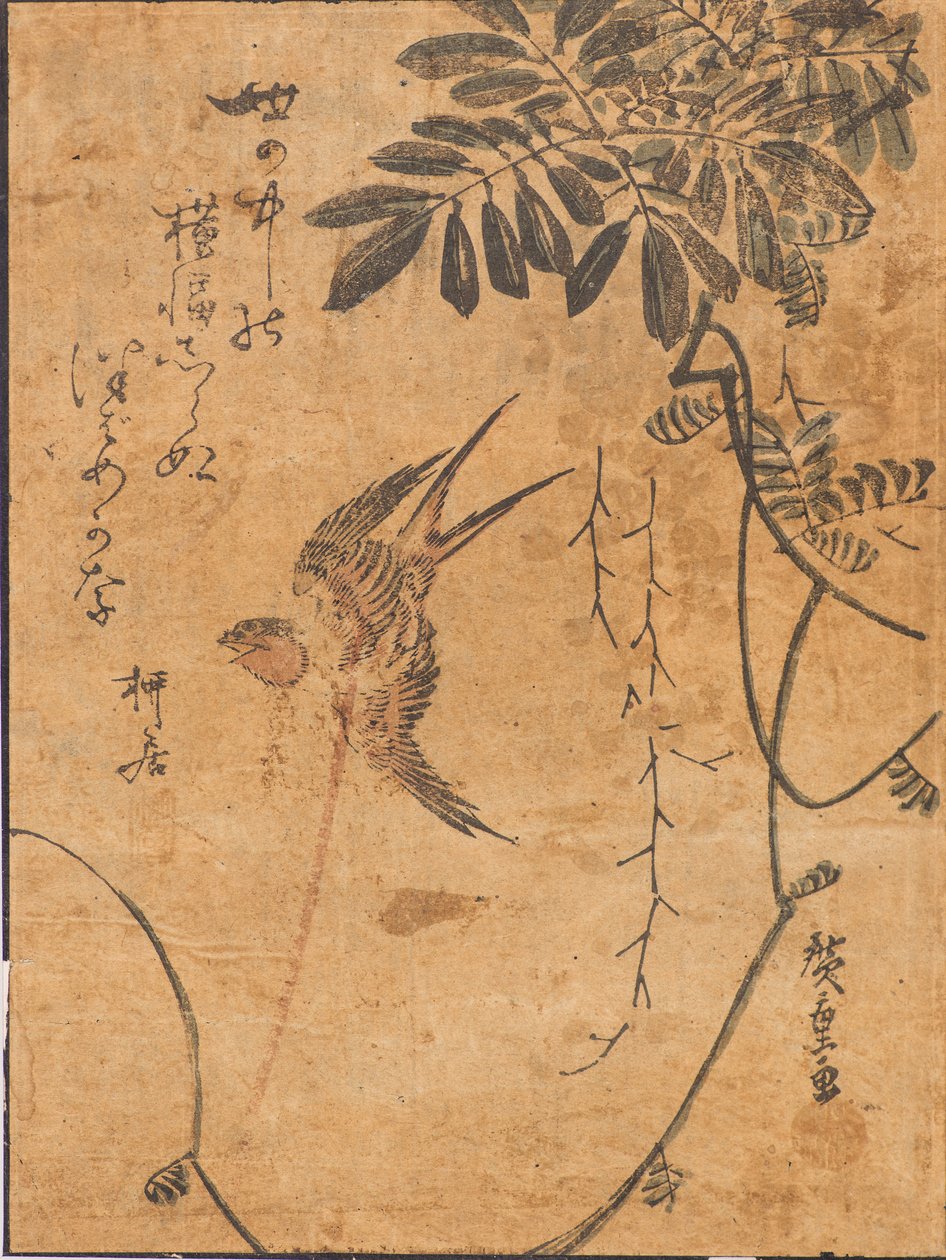 Studio di Uccello in Volo e Pianta da Ando or Utagawa Hiroshige
