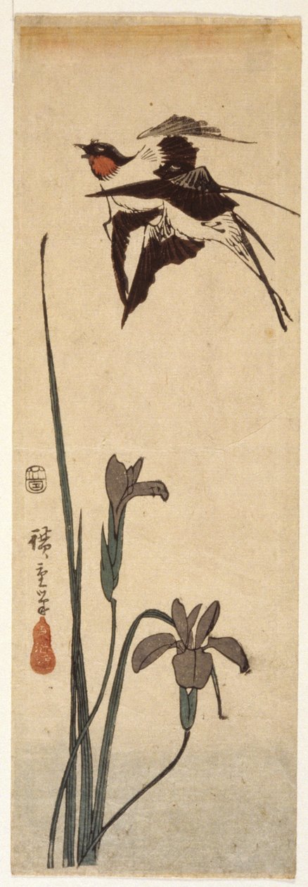 Rondini e iris da Ando or Utagawa Hiroshige