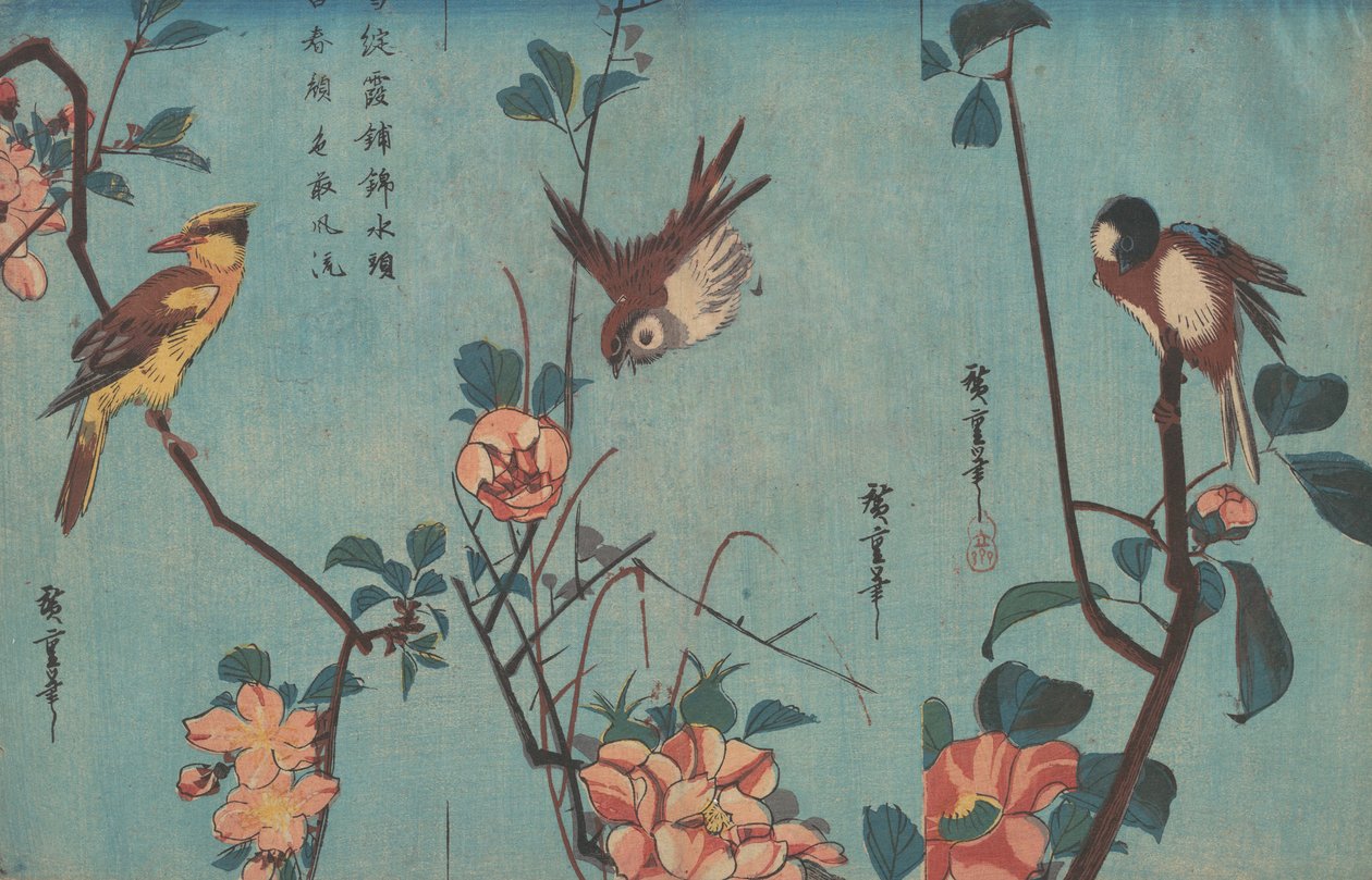 Cinciallegra e Camelie, Passero e Rose Selvatiche e Oriole dal Collo Nero e Fiori di Ciliegio, c.1833 da Ando or Utagawa Hiroshige