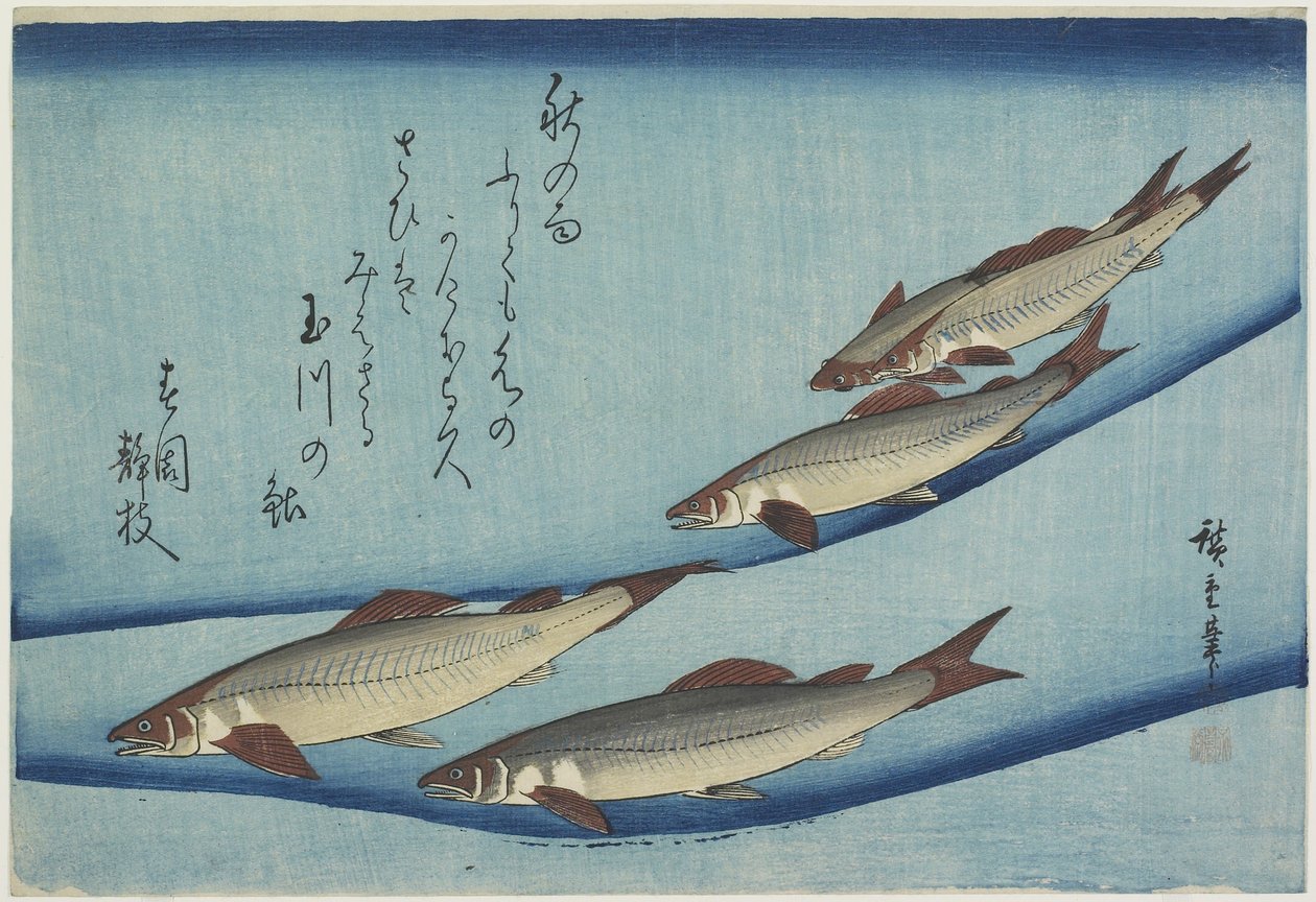 Trota da Ando or Utagawa Hiroshige