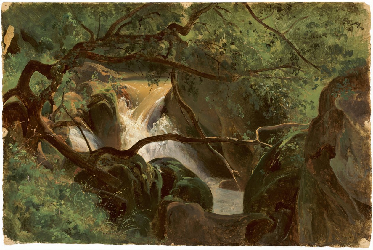 Interno della foresta con cascata, Papigno da André Giroux