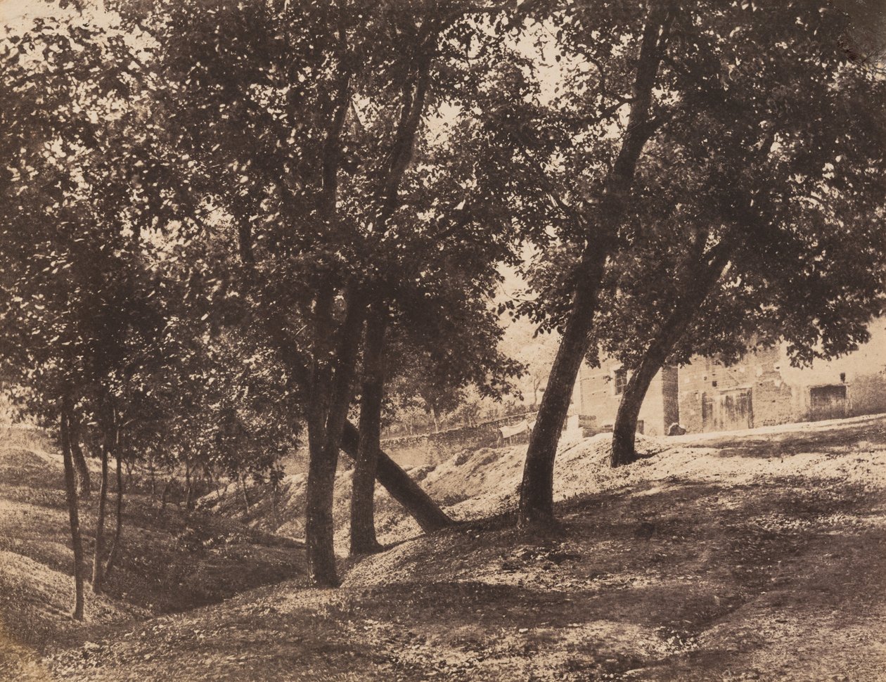 Alberi, c. 1855 da André Giroux