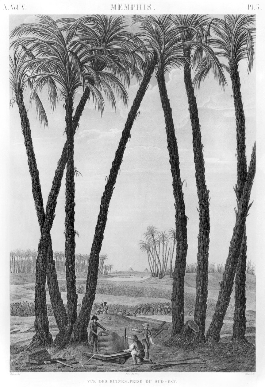 Veduta delle rovine di Menfi viste da sud-est, inciso da Jean Louis Delignon (1755-1804) da Andre Dutertre