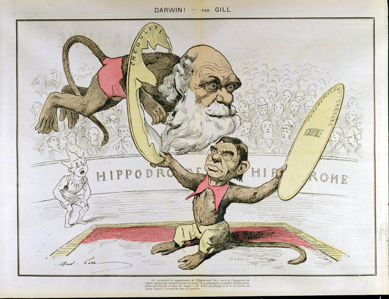 Caricatura di Charles Darwin e Emile Littre raffigurati come scimmie da circo da Andre Gill