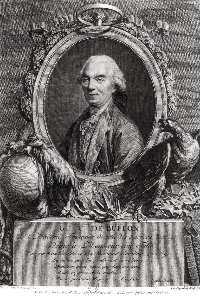 Georges-Louis Leclerc (1707-88) Conte di Buffon, inciso da Vincenzio Vangelisti (1738-98) 1777 da Andre Pujos