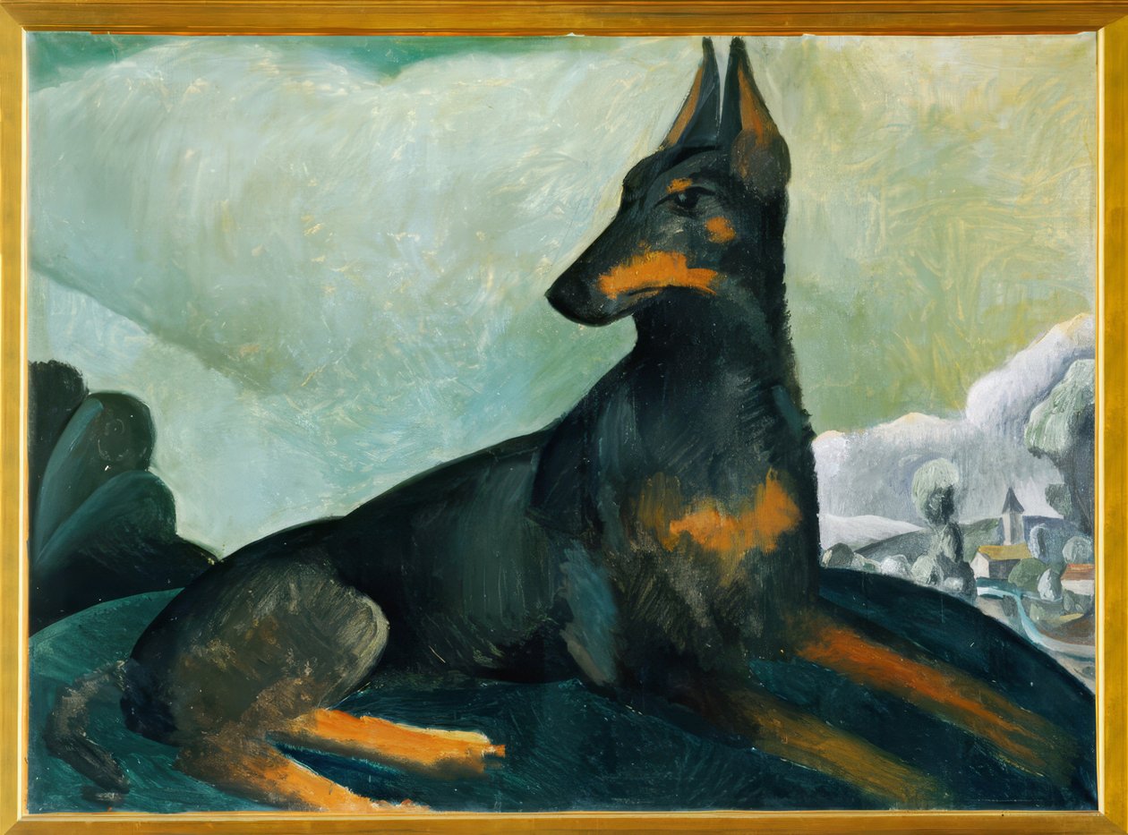 Il cane dell