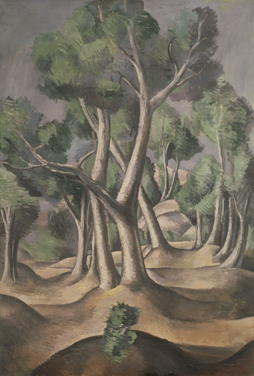 Il boschetto da Andre Derain