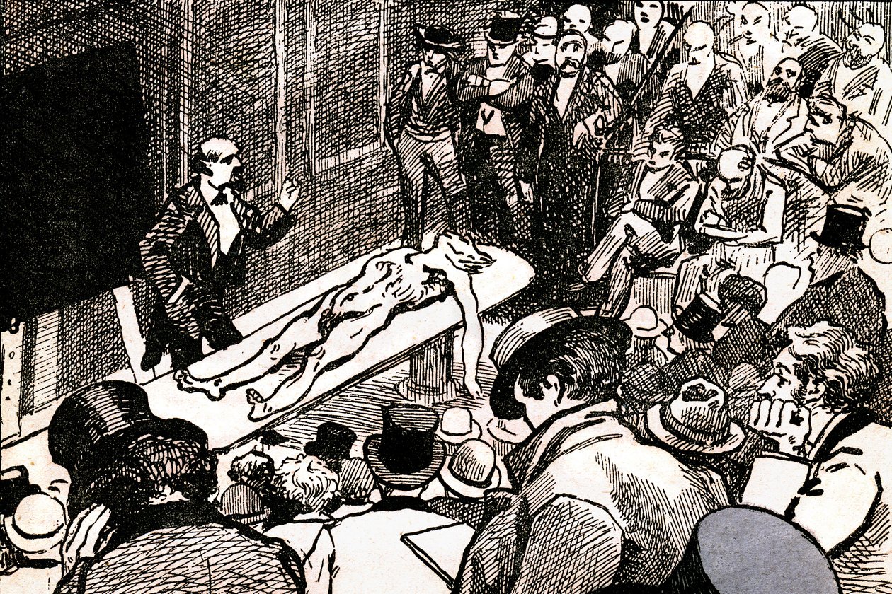 Illustrazione da 