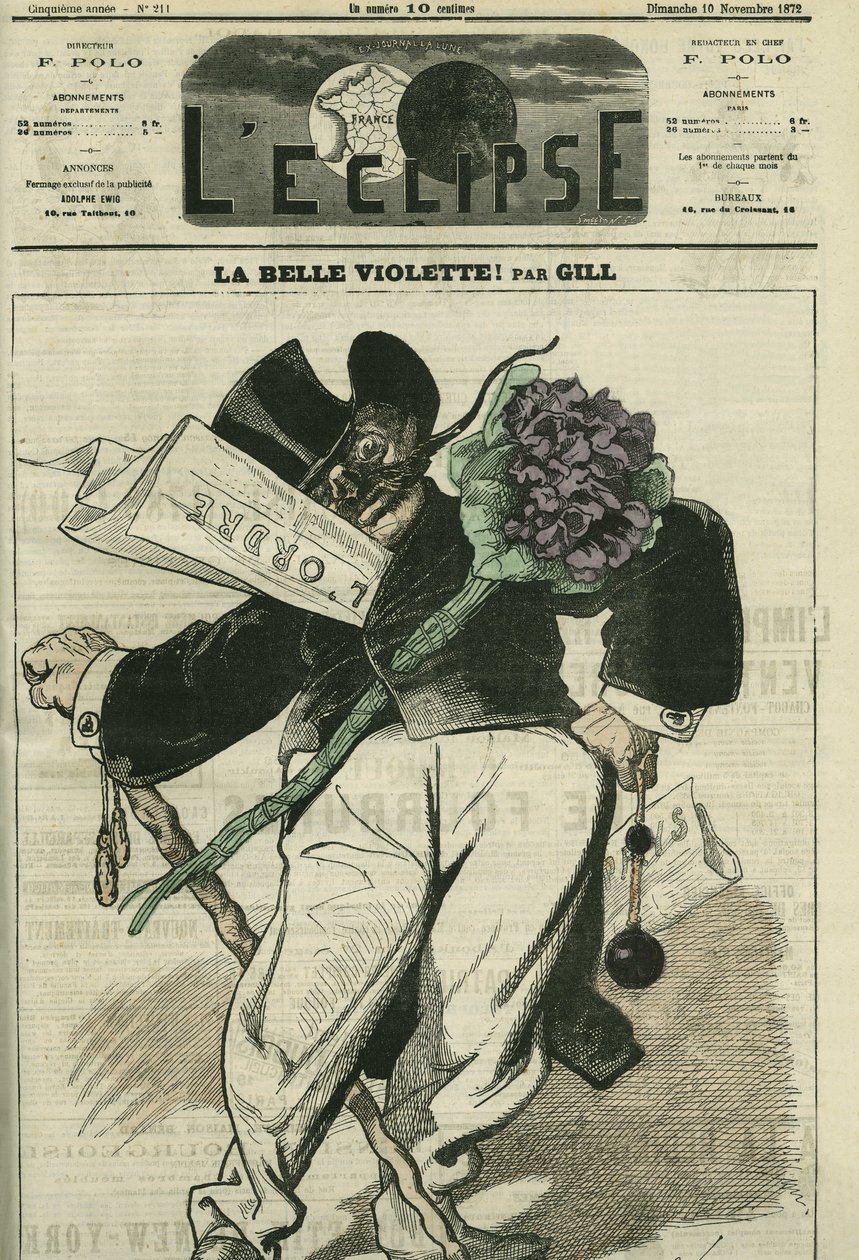 La bella viola, un