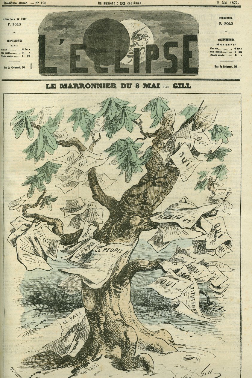 Il castagno dell