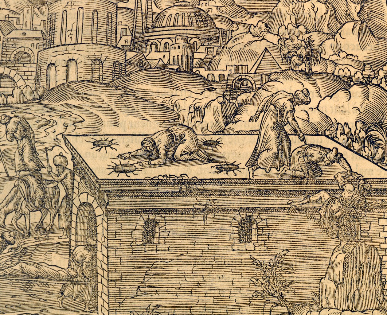 Cimitero cristiano di Acheldemach, incisione da Cosmographie universelle, di Andre Thevet, Parigi da Andre Thevet