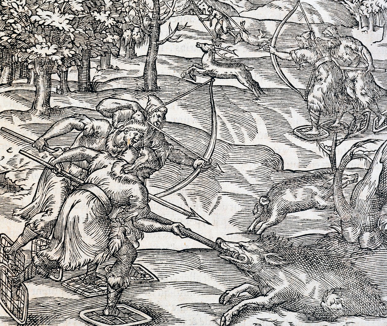 Caccia al cinghiale degli indiani, incisione da Cosmologia Universale, di André Thevet, Parigi da Andre Thevet