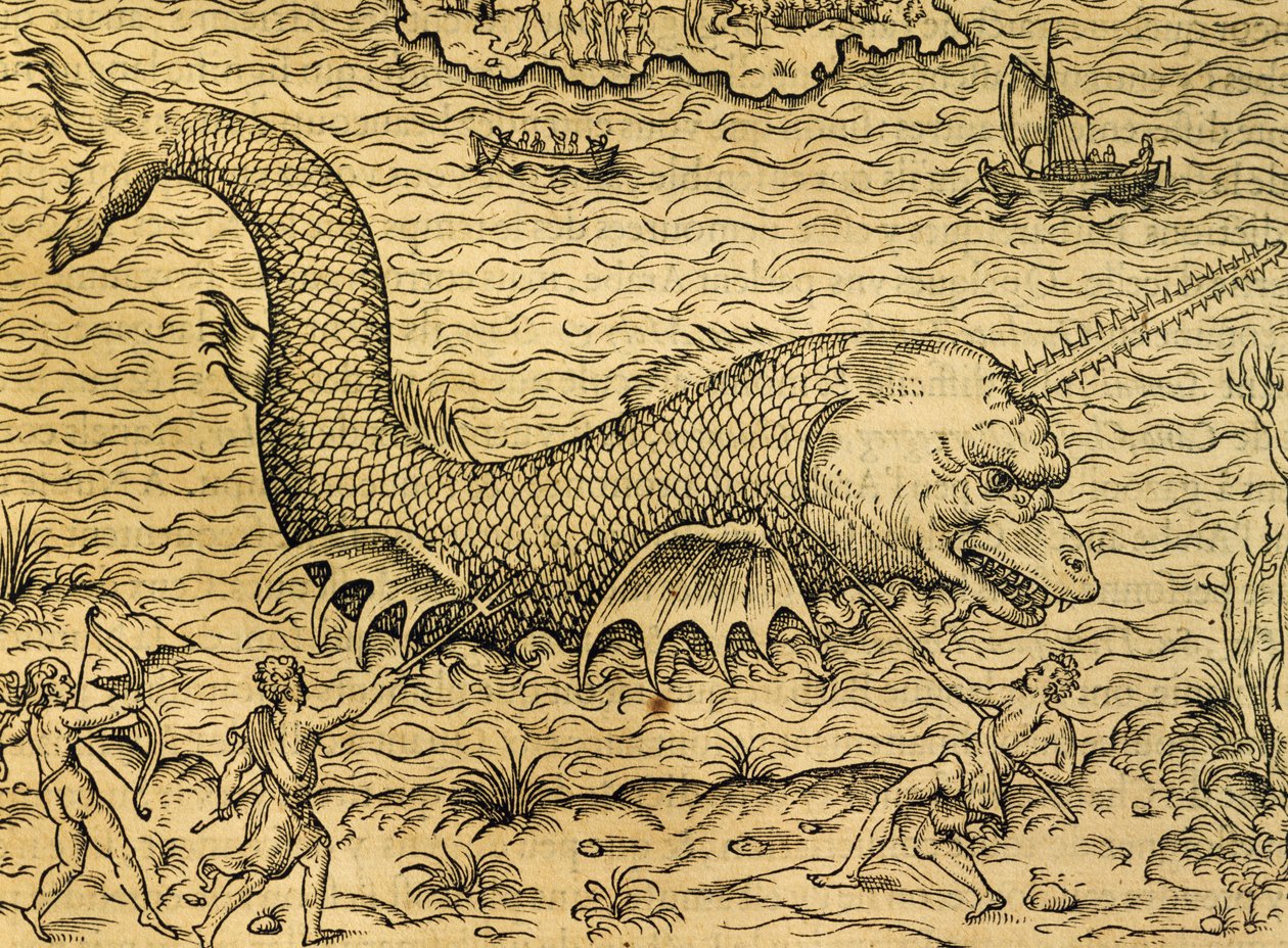 Mostro marino, incisione dalla Cosmologia Universale, di Andre Thevet (1504-1592), Parigi da Andre Thevet