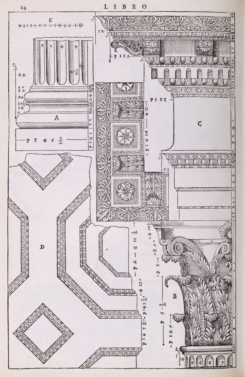 Diagrammi relativi al Tempio di Marte Vendicatore, illustrazione da una copia facsimile di 