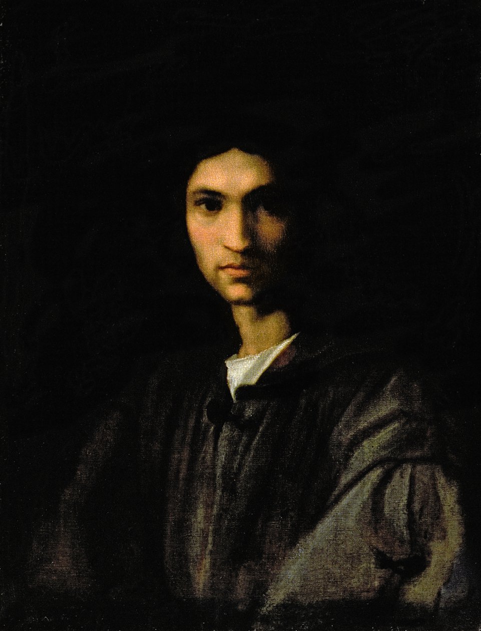 Ritratto di un giovane uomo da Andrea del Sarto