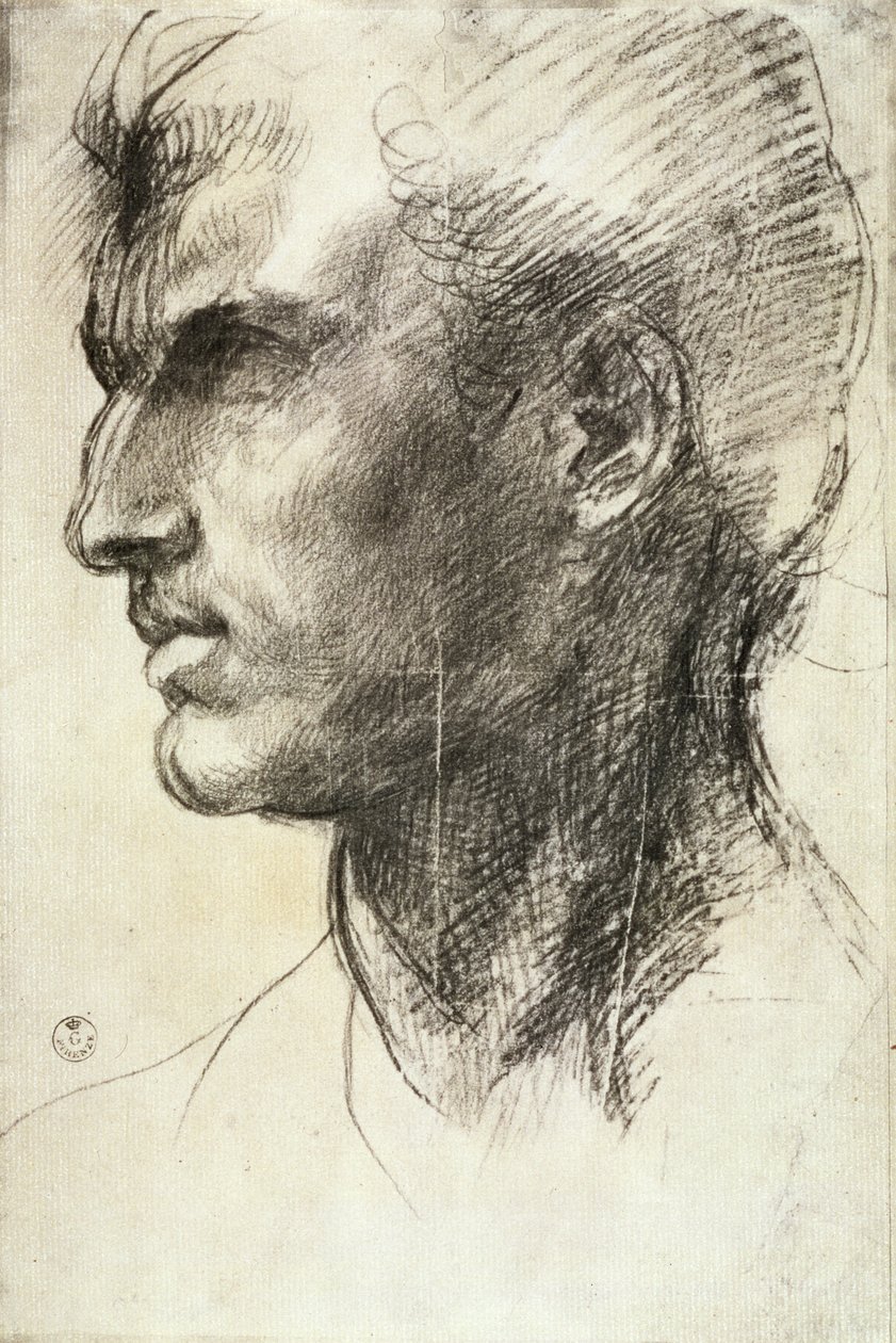 Studio di una testa maschile da Andrea del Sarto