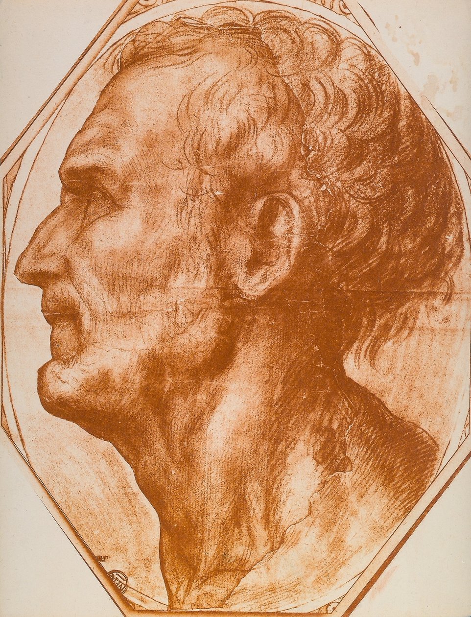 Studio di una testa maschile da Andrea del Sarto