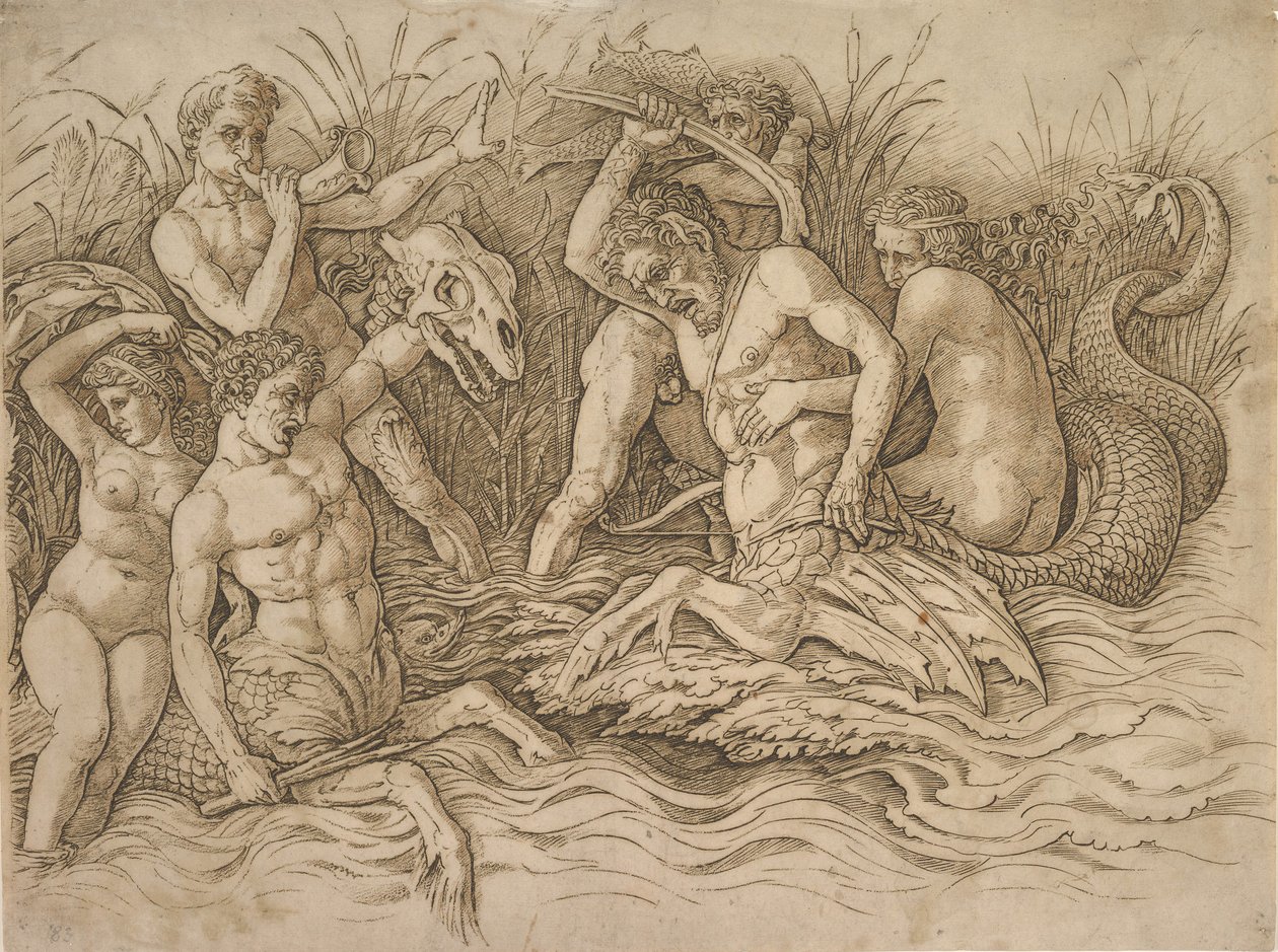 Battaglia degli Dei del Mare metà destra, ca. 1485-88 da Andrea Mantegna