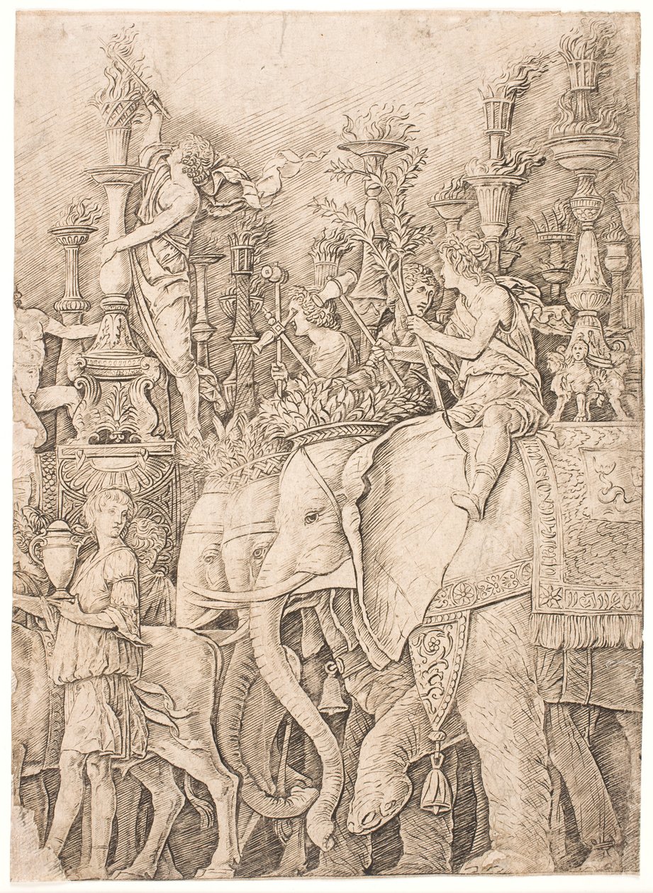 Elefanti che portano torce da Andrea Mantegna