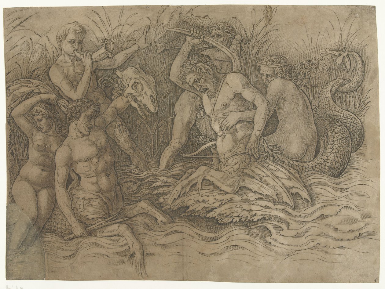 Combattimento tra tritoni con nereidi sulle loro spalle da Andrea Mantegna