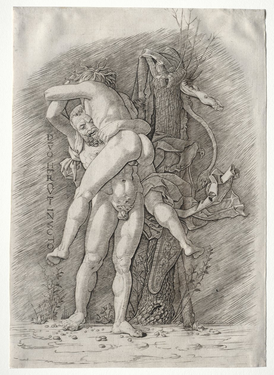 Ercole e Anteo, 1400 da Andrea Mantegna