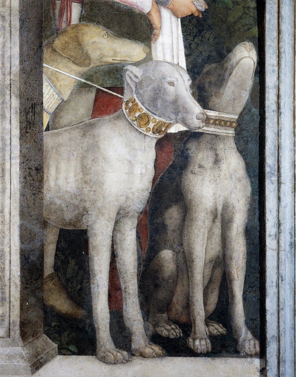 Cani Molossi (dettaglio) da Andrea Mantegna