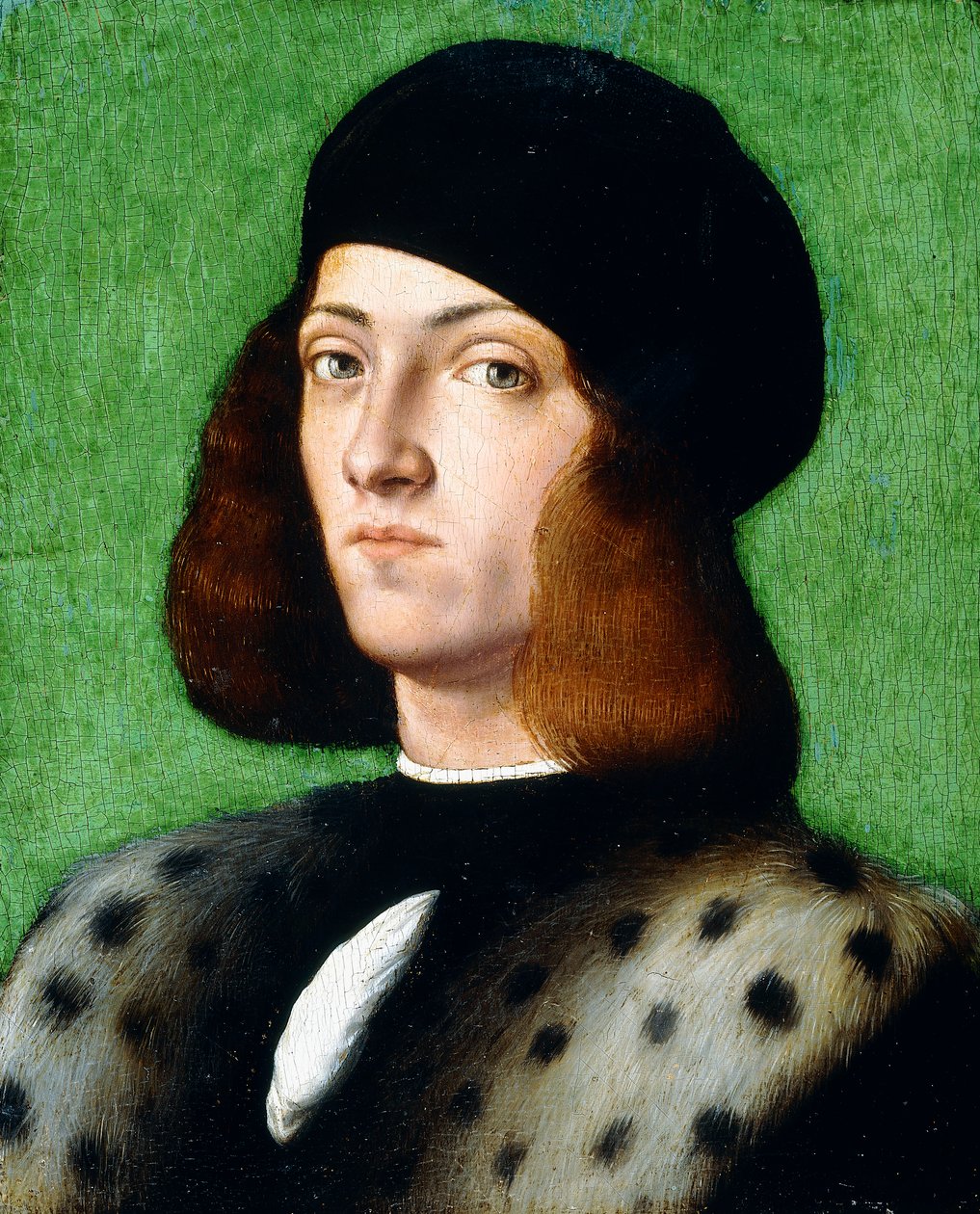 Ritratto di un giovane gentiluomo, busto, con berretto nero e cappotto nero, 1506 da Andrea Previtali