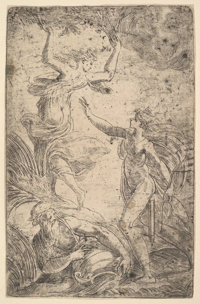 Apollo a destra con un arco che insegue Dafne a sinistra da Andrea Schiavone