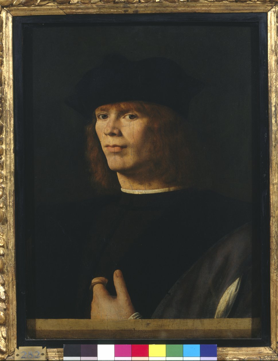 Ritratto di un giovane uomo da Andrea Solario