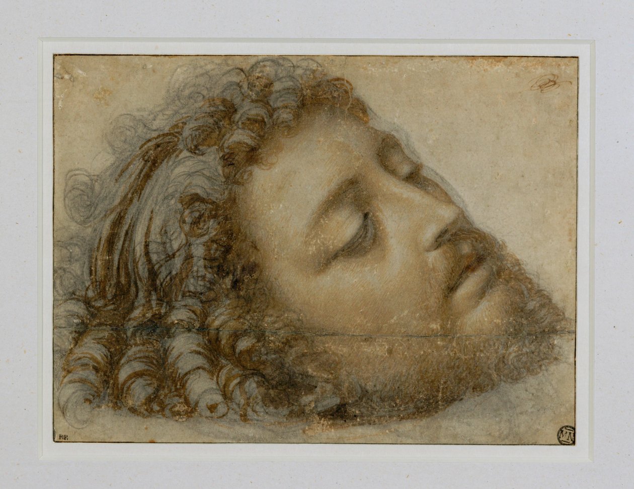 Testa di San Giovanni Battista ... da Andrea Solario