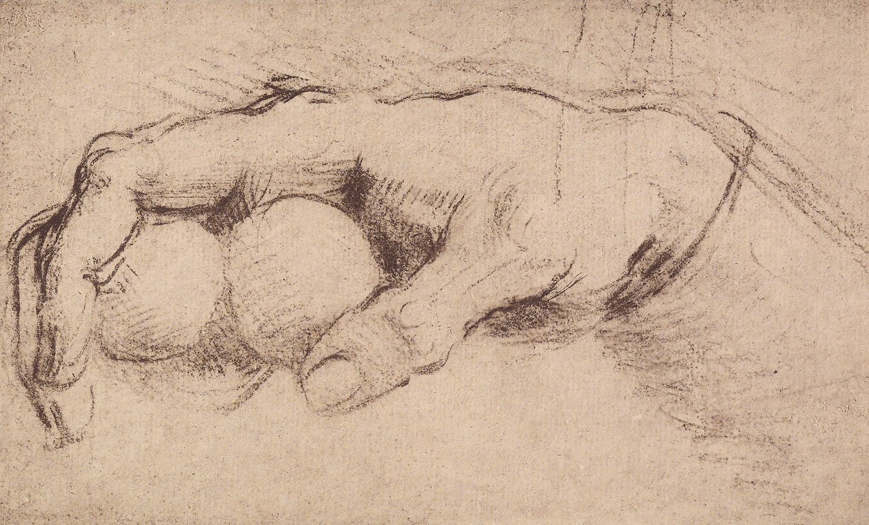 Una mano da Andrea del Sarto