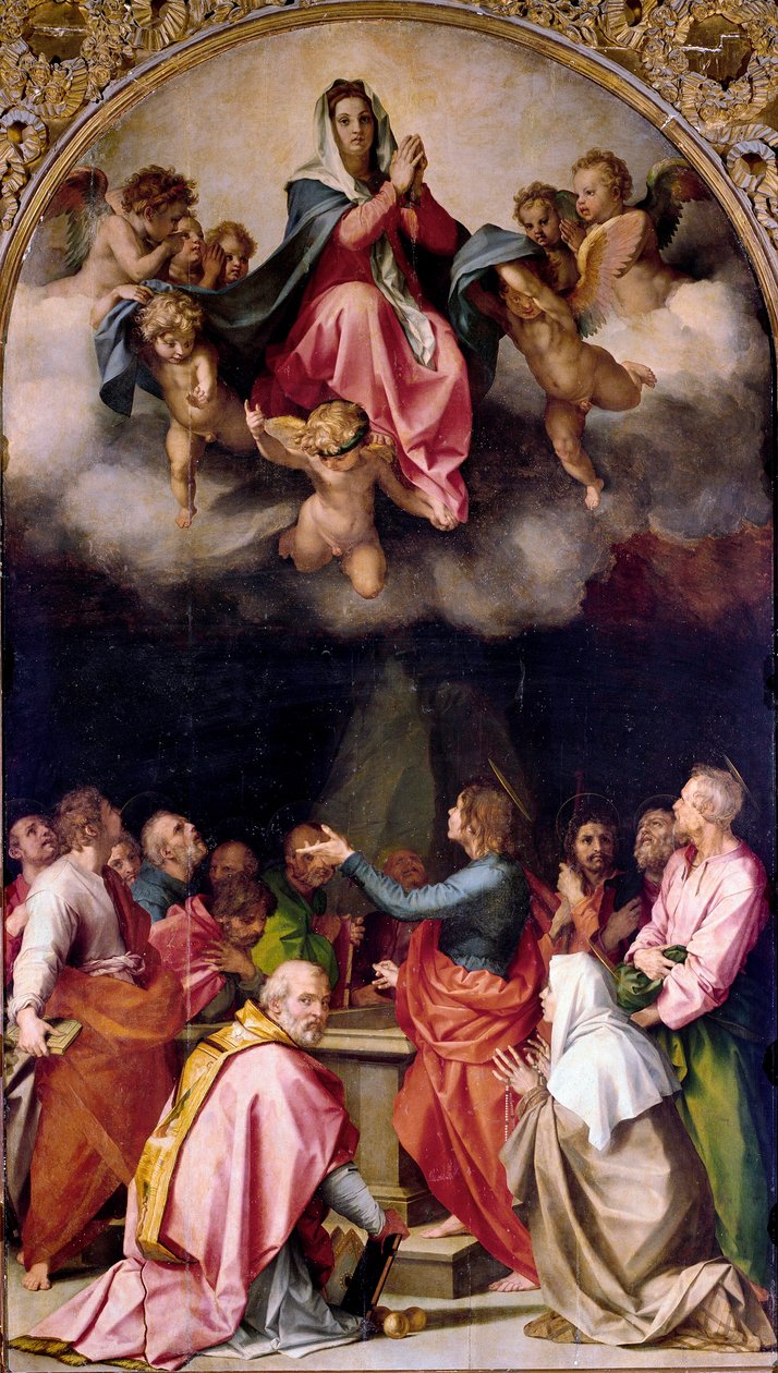 Assunzione Passerini da Andrea del Sarto