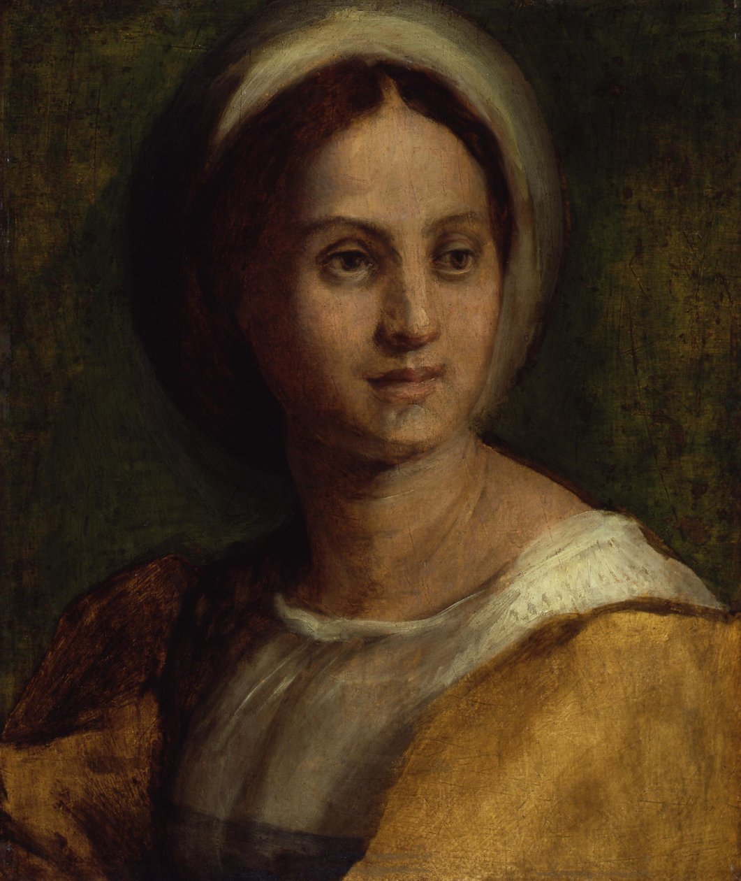 Ritratto di una giovane donna da Andrea del Sarto