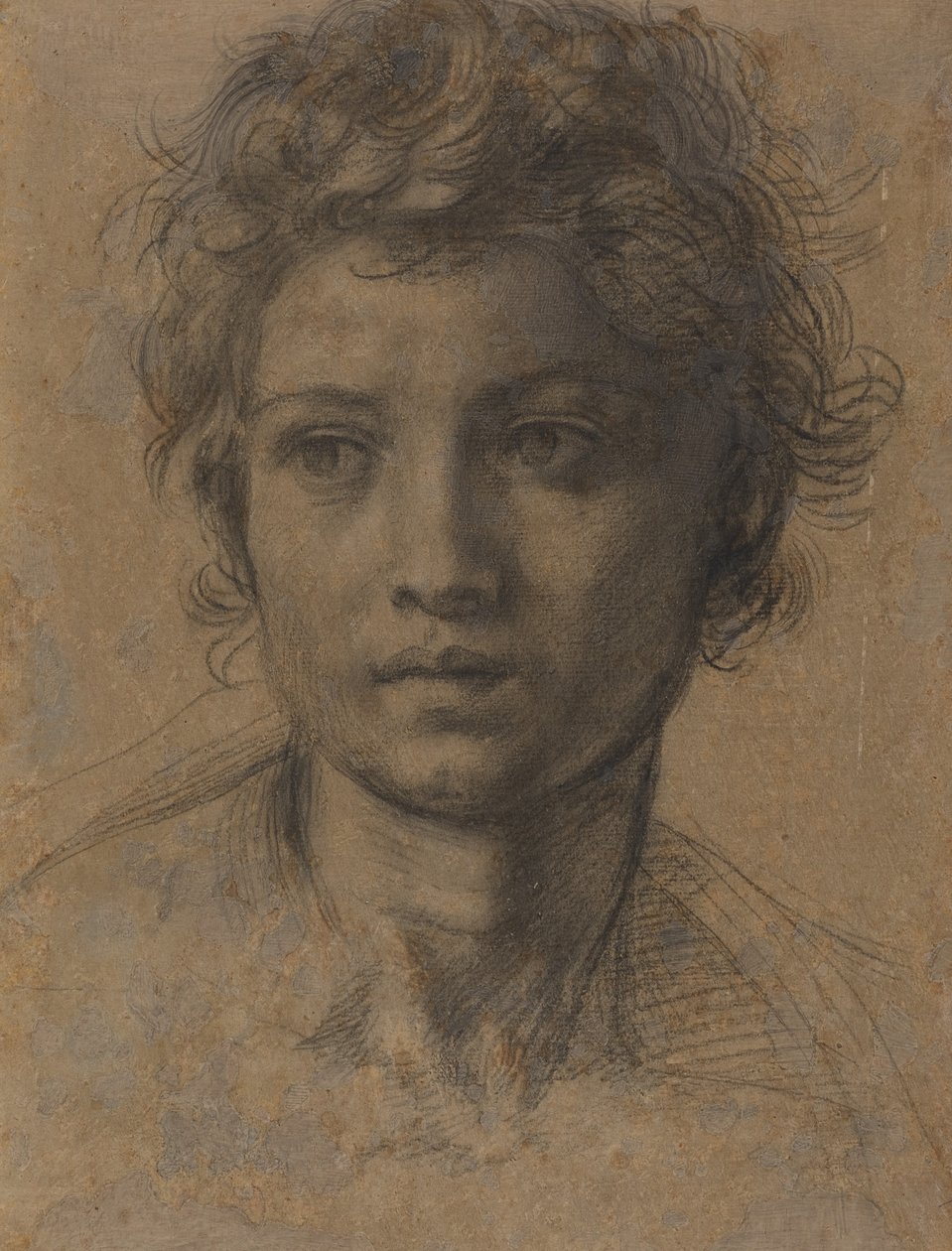Testa di San Giovanni Battista da Andrea del Sarto