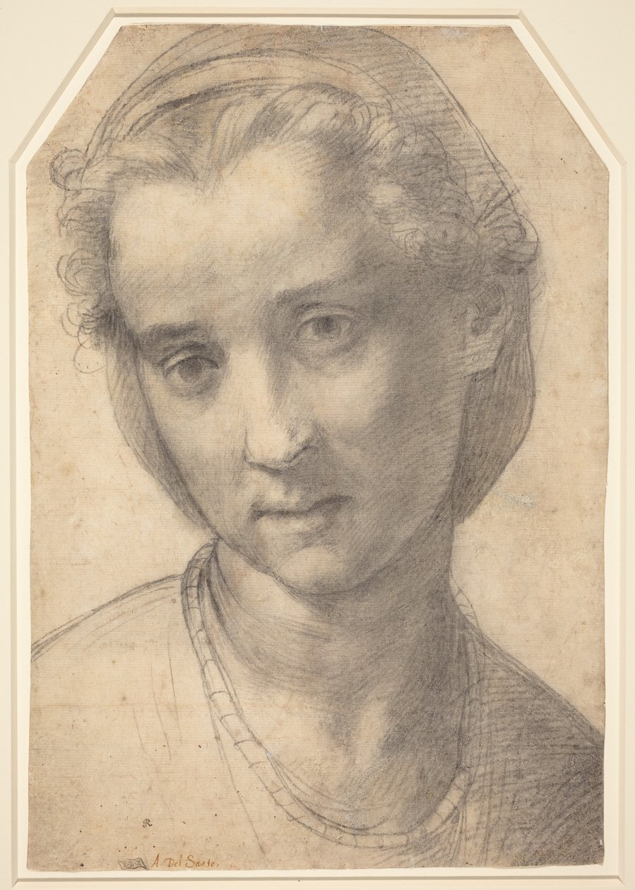 Testa di donna da Andrea del Sarto