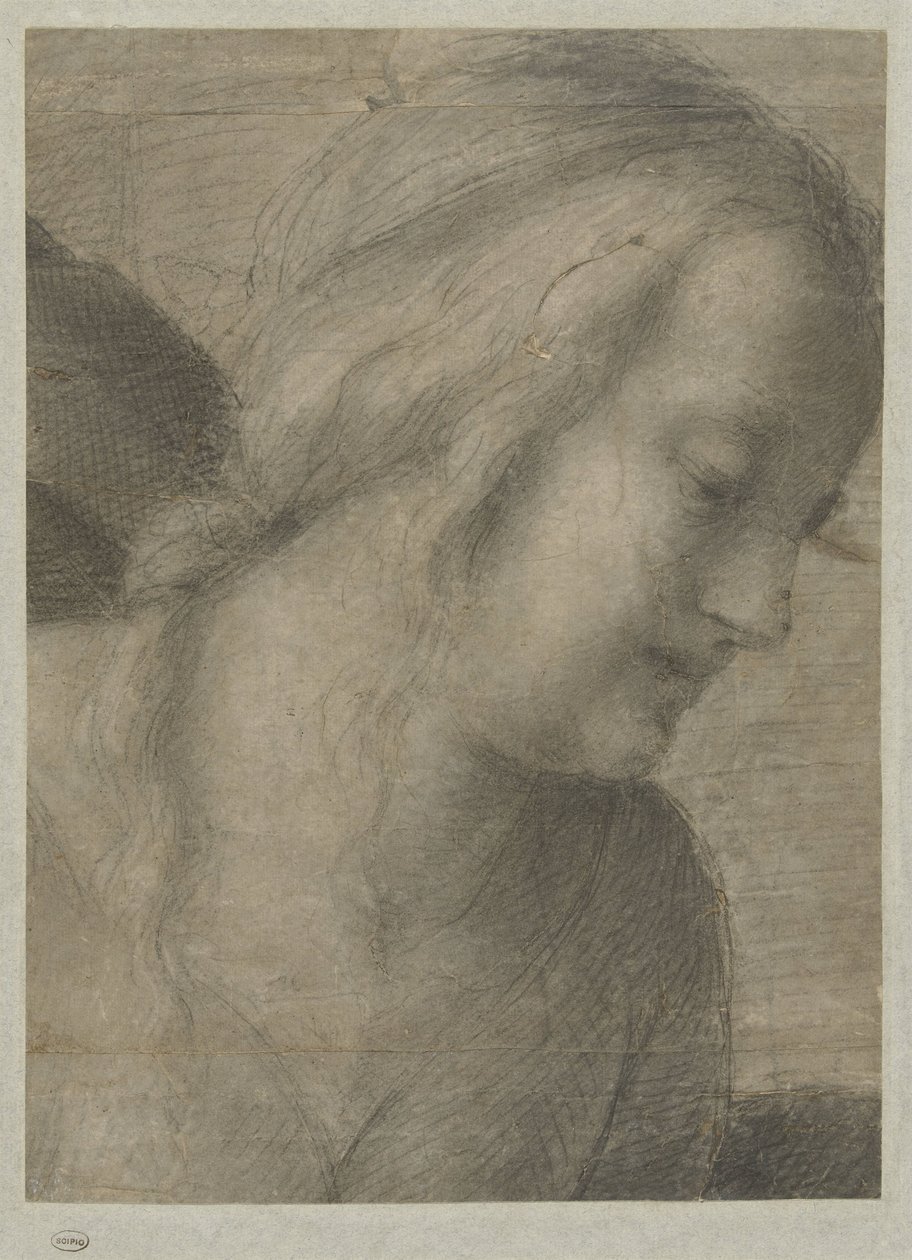 Testa di Maria in adorazione da Andrea del Sarto
