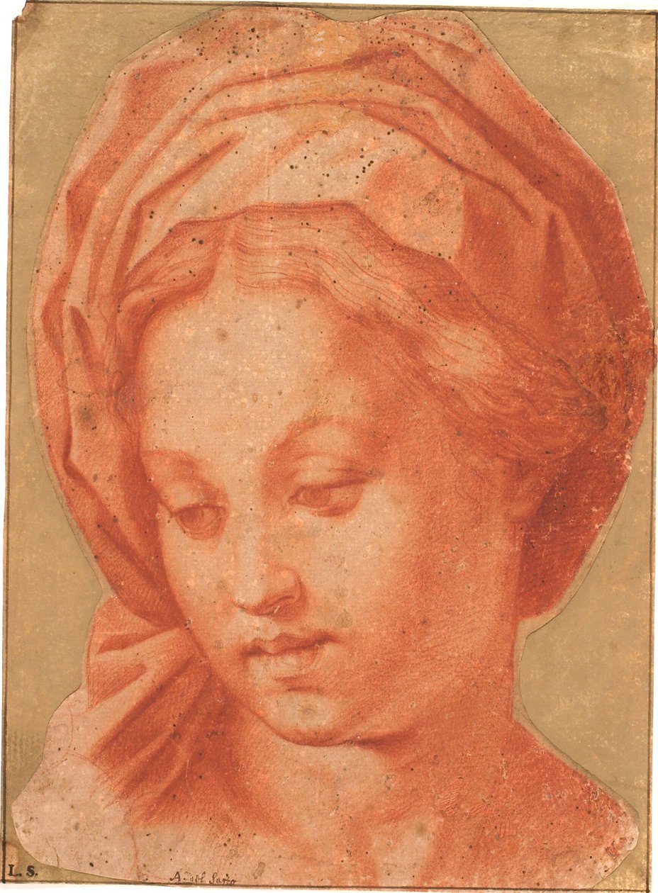 Madonna Borghese da Andrea del Sarto