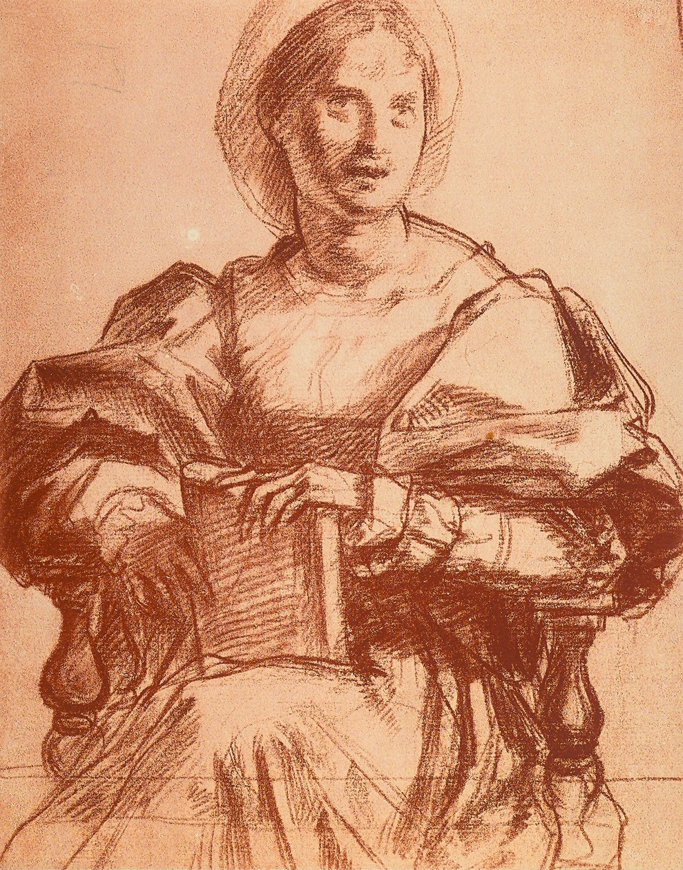 Ritratto di Lucrezia del Fede da Andrea del Sarto