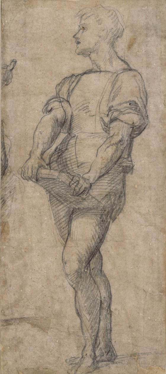 Giovane in piedi con un libro, ca 1515 da Andrea del Sarto