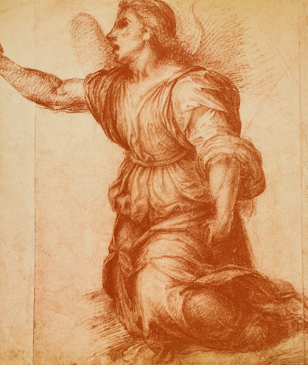 Studio di un angelo, disegno di Andrea del Sarto per l