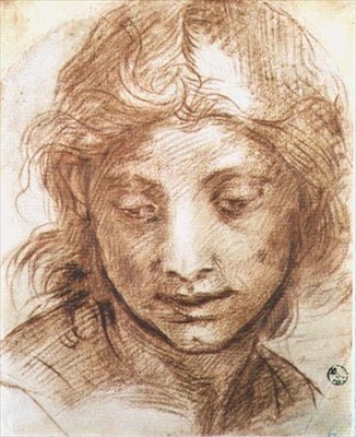 Studio della testa di una giovane donna da Andrea del Sarto