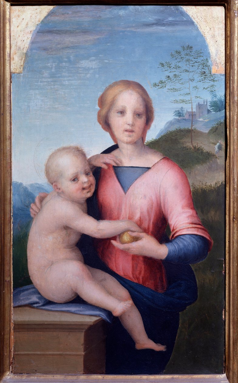 Vergine con bambino da Andrea del Sarto